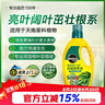 美乐棵天南星科营养液园艺花肥肥料盆栽浓缩植物营养液1L 实拍图