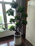 小米（MI）手环9Pro黑色 智能手环 高精度运动健康 睡眠呼吸暂停监测 心率血氧监测运动手环送男友送女友 实拍图