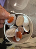 天然博士金标燕窝酸孕妇dha海藻油微藻孕期哺乳期专用30粒盒装加赠20粒 实拍图
