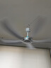 美的（Midea） 小吊扇小型电风扇蚊帐扇家用学生宿舍风扇床上风扇轻音电风扇吊式小电扇 风扇踏青放价 FC70-FA 大号款 实拍图