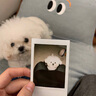 INSTAX富士instax立拍立得 方形相纸 黑白单包装10张 (适用于SQUARE系列相机 手机照片打印机SP-3) 实拍图