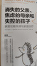 消失的父亲、焦虑的母亲和失控的孩子：家庭功能失调与家庭治疗（第2版） 实拍图