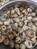 鲜窝窝 新鲜生鹌鹑蛋 鹑鸟蛋 生鲜鹌鹑蛋 附卤蛋料包 200枚 有卤料包 实拍图
