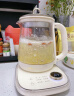 小熊（Bear）养生壶 1.5L煮茶壶煮茶器 玻璃花茶壶 316不锈钢恒温水壶烧水壶电热水壶 YSH-E15M1 实拍图