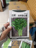 北蔬 大叶空心菜种子通心菜雍菜耐湿热蔬菜籽 大叶空心菜籽20g约380粒 实拍图