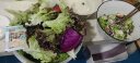 新鲜沙拉蔬菜组合 混合蔬菜沙拉菜 健身健康轻食蔬菜 新鲜蔬菜 1000g | 5-7 餐 | 配酱需切洗 实拍图