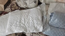 洁丽雅（Grace）纤维枕 星级酒店枕头枕芯 46*72cm 一对装（2只装） 实拍图