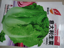 意大利耐抽苔生菜种子耐热耐寒全年种春夏秋季四季阳台蔬菜种籽孑 意大利生菜种子 5包约5000粒 实拍图