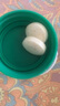 健美生（Jamieson）天然维生素C咀嚼片橙味 500mg/片 30片/瓶增强抵御力小巧可放口袋 实拍图