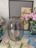 京东鲜花透明玻璃花瓶高级感轻奢摆件客厅插花瓶水养雪柳马醉木鲜花吊钟 实拍图