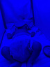 medgain24小时急速达黄疸检测仪租赁蓝光灯黄疸医用出租新生儿测黄疸仪器 黄疸仪+蓝光箱（租7天）送黄疸险 实拍图