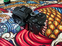 索尼（SONY）Alpha 7R V 全画幅微单数码相机 双影像画质旗舰 （ILCE-7RM5/A7R5/A7RM5） 实拍图