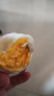 乡公馆乌鸡蛋新鲜正宗农家散养绿皮柴山鸡蛋整箱草笨绿壳蛋土鸡蛋谷物蛋 乌鸡蛋30枚 实拍图