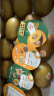 佳沛（zespri）新西兰金奇异果巨大果22粒原箱猕猴桃单果约146-175g母亲节礼盒  实拍图