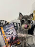 翡冷翠幼犬成犬小中大型狗粮犬粮泰迪比熊鹿肉味唤醒系列A5试吃 50g 实拍图