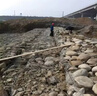 河堤防护石笼网pvc包塑格宾网平纹编织石笼网固滨垫防汛格宾网箱 工程专用，【个人自用勿扰】 实拍图