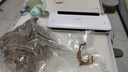得力家用腊肉抽真空封口机小型真空包装机食品塑封机全自动真空机干湿两用商用真空保鲜打包机LM776 实拍图
