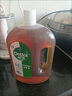 滴露（Dettol）洗衣消毒液衣物消毒水750mL除螨 家居宠物地板杀菌 非84酒精 实拍图