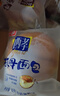 桃李酵母面包牛奶蛋羹/巧克力味 混合味早餐蛋糕点心休闲零食整箱600g 实拍图