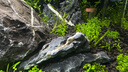 尼特利 NETLEA水草泥鱼缸净水营养土水族养鱼水藻泥免水洗种植土草缸陶粒底砂 1号大师水草泥 - 8L /袋 实拍图