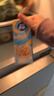 雀巢（Nestle）烘焙原料烘培奶油免打发蛋挞鲜奶油调制稀奶油 250ml 实拍图
