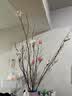 美学黑客 玉兰干枝干花花束干支干树枝树装饰玉兰花卧室客厅落地天然 玉白色单支 实拍图