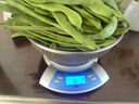 山东新鲜大扁芸豆芸豆角无丝豆四季豆嫩芸豆现摘当季新鲜蔬菜包邮 山东扁豆角1斤装 实拍图