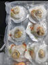 富海锦 蒜蓉粉丝扇贝净重1.6斤 12只大号扇贝肉  海鲜火锅烧烤食材 生鲜 实拍图