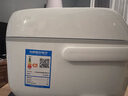 东芝（TOSHIBA） 电饭煲家用小型1.6L迷你电饭锅1-2-3人多功能智能预约定时做蛋糕宝宝粥日本进口涂层不粘锅5MFMC RC-5MFMC(W)小小白 1.6L 实拍图