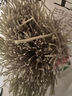 鲜窝窝 纯绿豆粉皮300g 水晶粉皮火锅食材 小圆粉皮凉拌菜炖菜大锅菜 实拍图