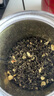 一杯香茶叶茉莉花茶飘雪横县特级250g2025新茶礼盒装茉莉绿茶自己喝送礼 实拍图