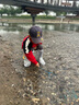 牧萌儿童雨鞋套男女童防水脚套防滑耐磨水鞋学生卡通雨靴 小恐龙 L 实拍图