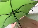 Blunt新西兰 半自动晴雨伞男女士创意折叠伞晴雨防风伞  两折通勤伞 青草绿/New 100cm/两折伞 实拍图