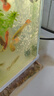 森森（SUNSUN）鱼缸增氧泵水族箱氧气泵家用小型充氧泵 【二代更静】4W双孔+全套配件 实拍图