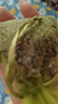 薰衣草干花粒 薰衣草粉中药草材天然无杂质 500克 实拍图