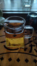 金灶（KAMJOVE） 加厚耐热玻璃公道杯分茶器公杯茶道茶海过滤公杯茶具配件 GO-31 GO-31 实拍图