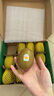 佳沛（zespri）新西兰 阳光金奇异果12粒礼盒特大果单果约122-146g 猕猴桃 水果 实拍图