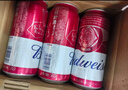 百威啤酒TOP淡色拉格450ml*18听整箱装新老包装交替发货  实拍图