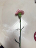 洁丽雅洗车抹布2条装双面短绒擦车专用毛巾吸水巾 35*75cm 实拍图