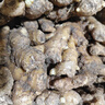 云南小黄姜新鲜生姜子自营生鲜姜月子姜超市蔬菜调料姜 5斤装 2500g 实拍图