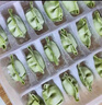 三全儿童水饺 猪肉嫩青菜300g*2盒84只 果蔬和面速冻饺子儿童早餐 实拍图
