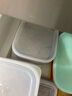 家の物语（KATEI STORY）日本抗菌冷冻保鲜盒冰箱冻肉分装盒食品级微波炉冷冻收纳盒水果盒 实拍图