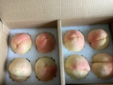 阳山水蜜桃 正宗无锡阳山水蜜桃白凤湖景桃 新鲜时令水果桃子整箱礼盒 一级果6-7两8个礼盒装净重5斤多 实拍图