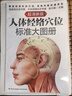 人体经络穴位标准大图册   实拍图