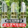 yuanyiba水果套袋防鸟防虫专用网袋葡萄无花果枇杷芒果草莓桃子保护袋子 12x60cm/20个/丝瓜黄瓜苦瓜 实拍图
