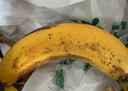 广东超甜香蕉青香蕉发货放熟吃雯婷新鲜水果 净重1斤 实拍图
