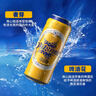 青岛啤酒（TsingTao）皮尔森拉格啤酒 500ml*12听大罐整箱装 实拍图