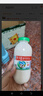 李子园【成毅代言】甜牛奶乳饮料荔枝味225ml*20瓶儿童奶早餐奶黑五 实拍图
