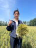 香满园 面粉 中筋粉 美味富强小麦粉 20斤 包子饺子馒头饼手擀面 实拍图