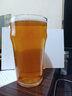 鹅岛（Goose Island）IPA精酿啤酒经典淡色艾尔500ml*12听整箱装百威集团  实拍图